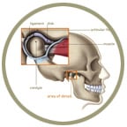 tmjicon